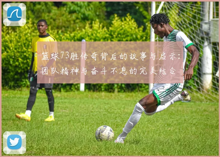 篮球73胜传奇背后的故事与启示：团队精神与奋斗不息的完美结合