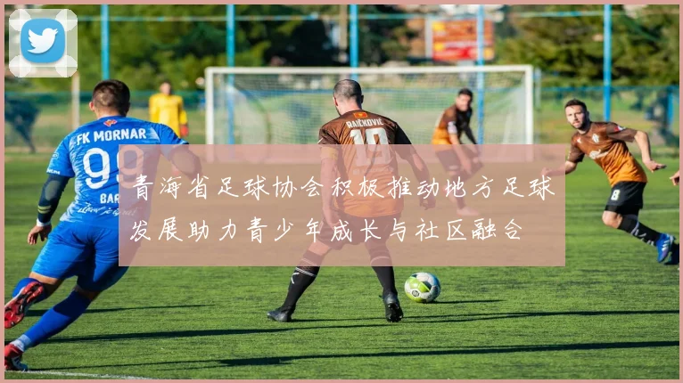 青海省足球协会积极推动地方足球发展助力青少年成长与社区融合