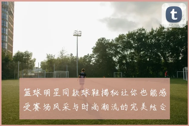 篮球明星同款球鞋揭秘让你也能感受赛场风采与时尚潮流的完美结合